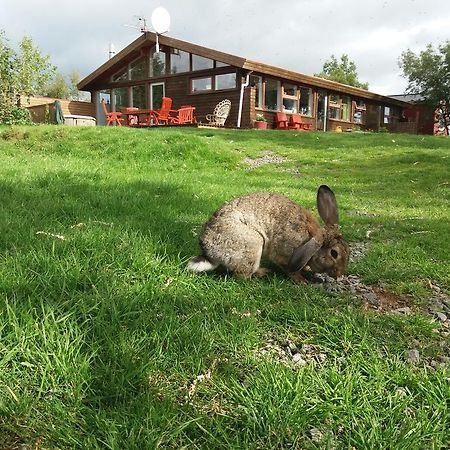 Ostello Geysir Hestar Haukadalur Esterno foto