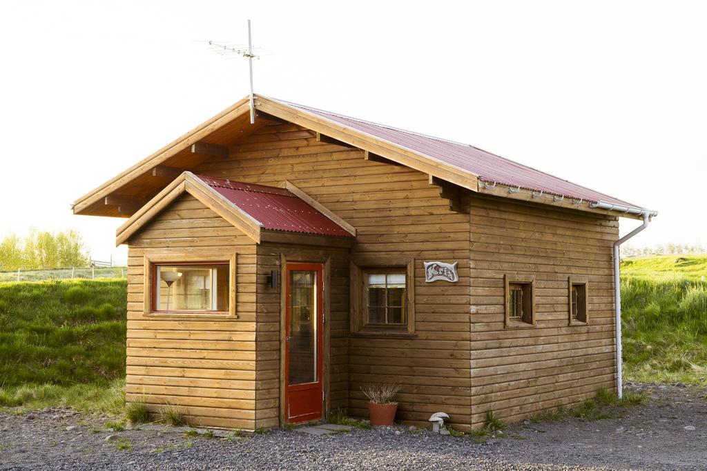 Ostello Geysir Hestar Haukadalur Esterno foto