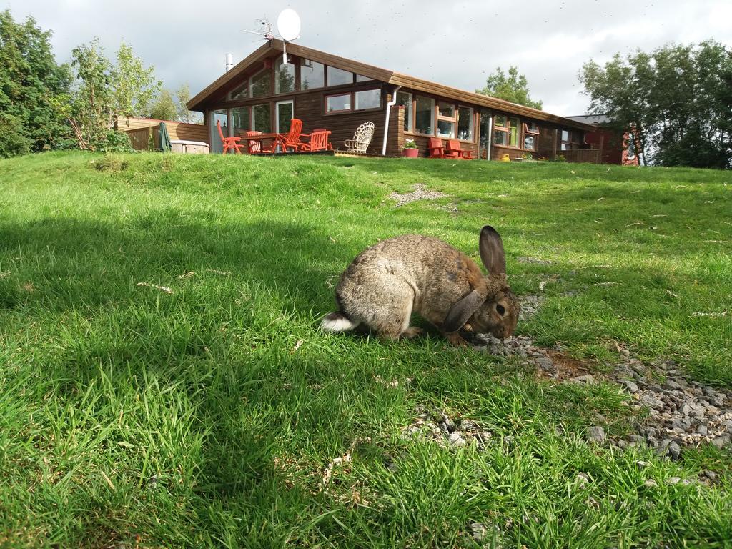 Ostello Geysir Hestar Haukadalur Esterno foto